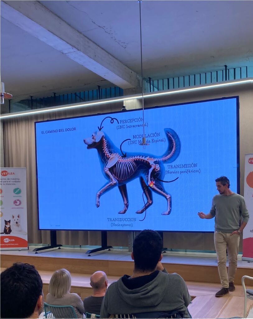 Agustín Martínez impartiendo una ponencia sobre anestesia veterinaria