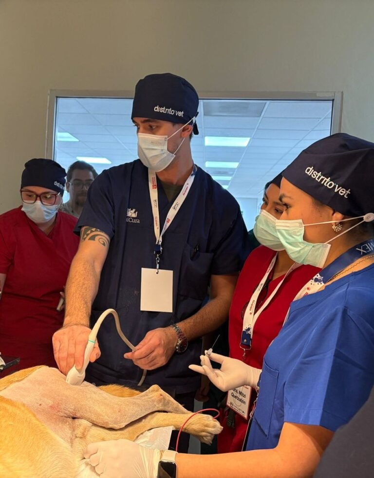 Agustín Martínez explicando una técnica a compañeros veterinarios